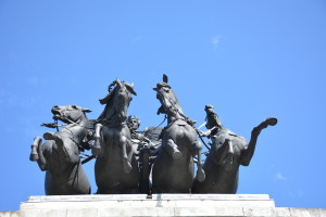 Wellington Horses